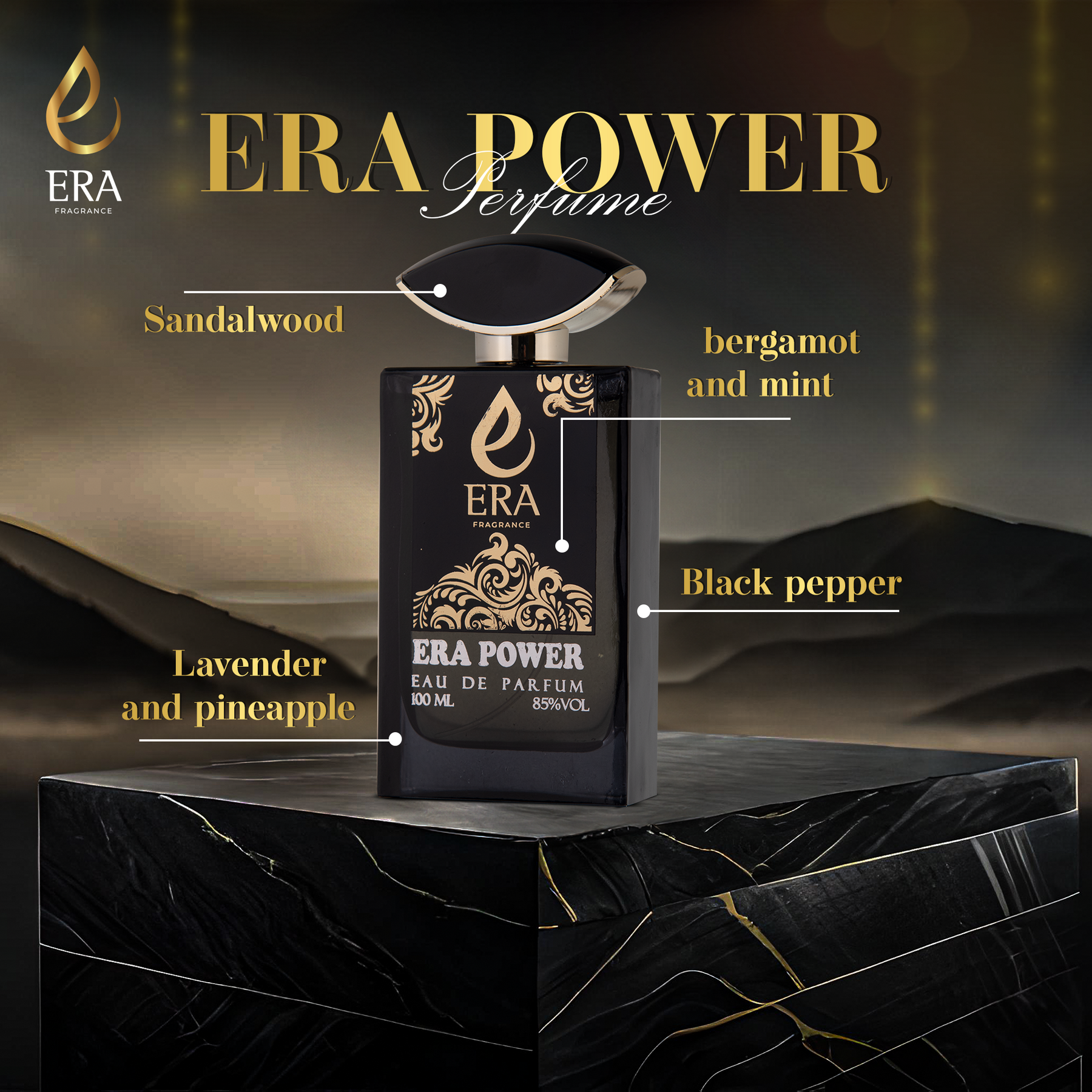 ERA POWER 100ML